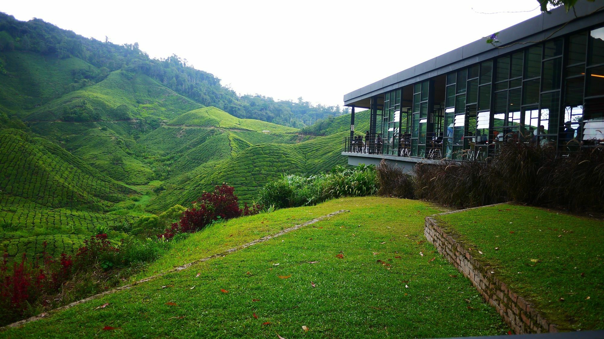 Zetter Suites @ Cameron Cameron Highlands Exteriör bild